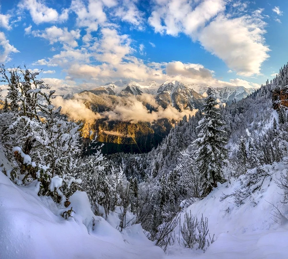 Абхазия горы зима