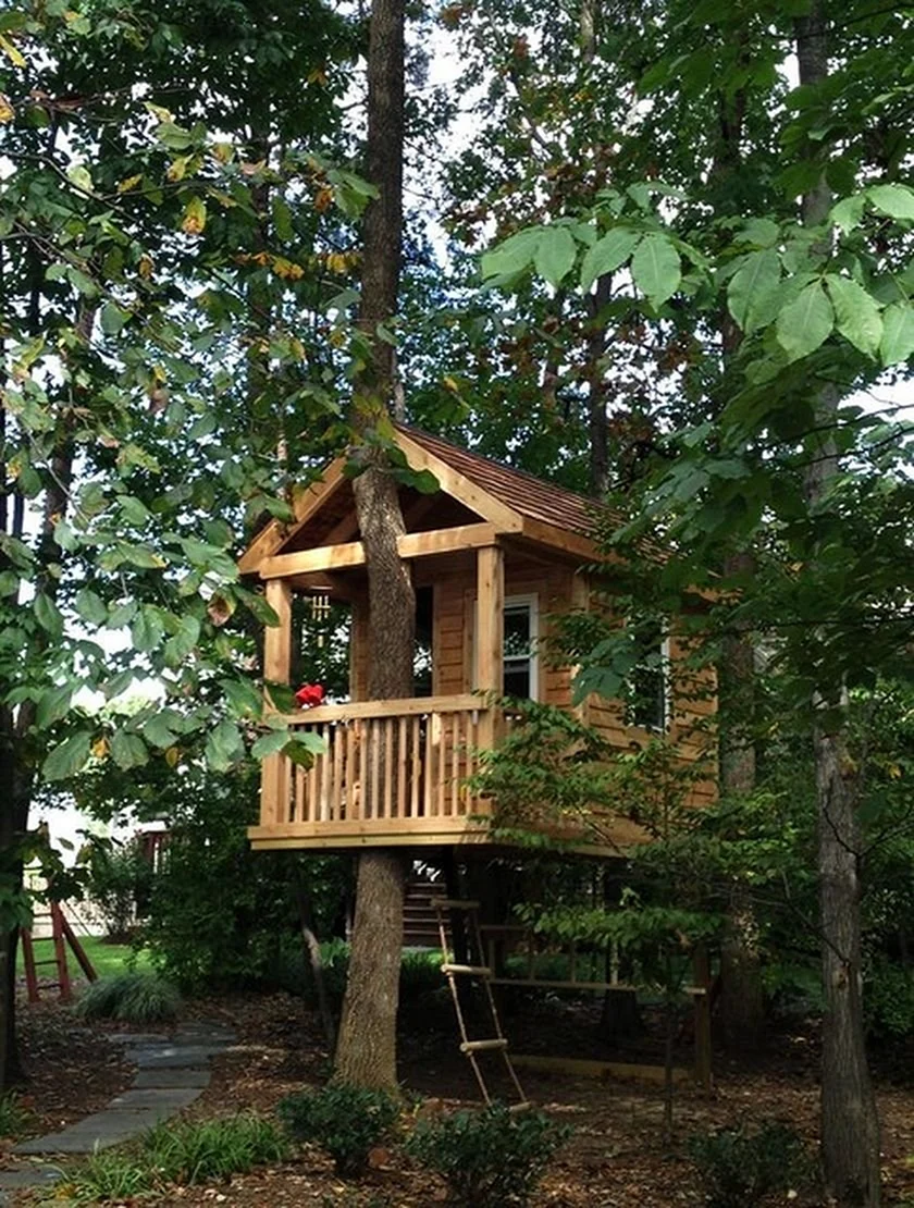 Детский домик на стволе дерева