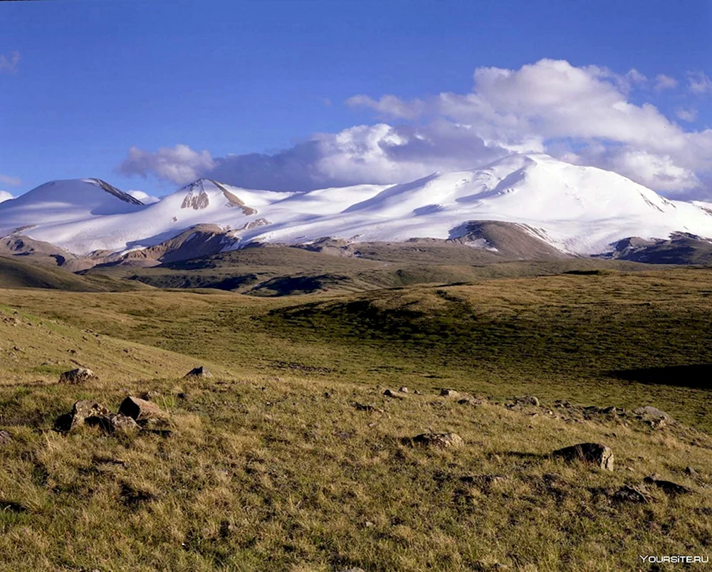Долина Укок горный Алтай