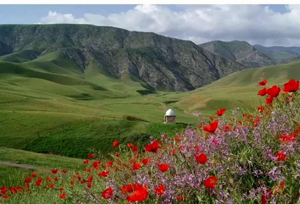 Ферганская Долина Узбекистан