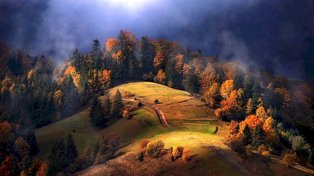 Карпаты Румыния холмы туман