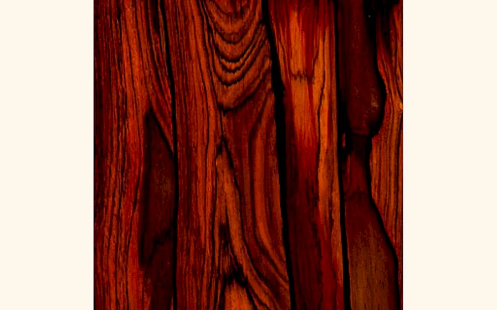 Красный палисандр дерево