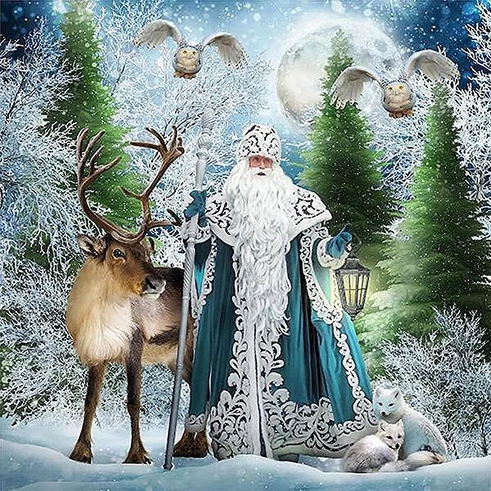 Алмазная мозаика Санта Клаус