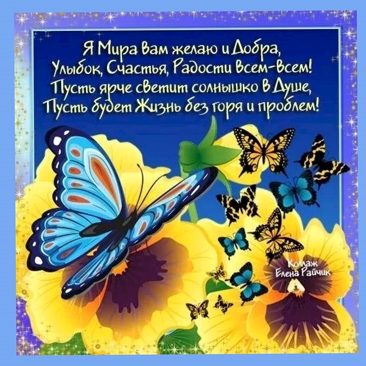 Бабочки с пожеланиями