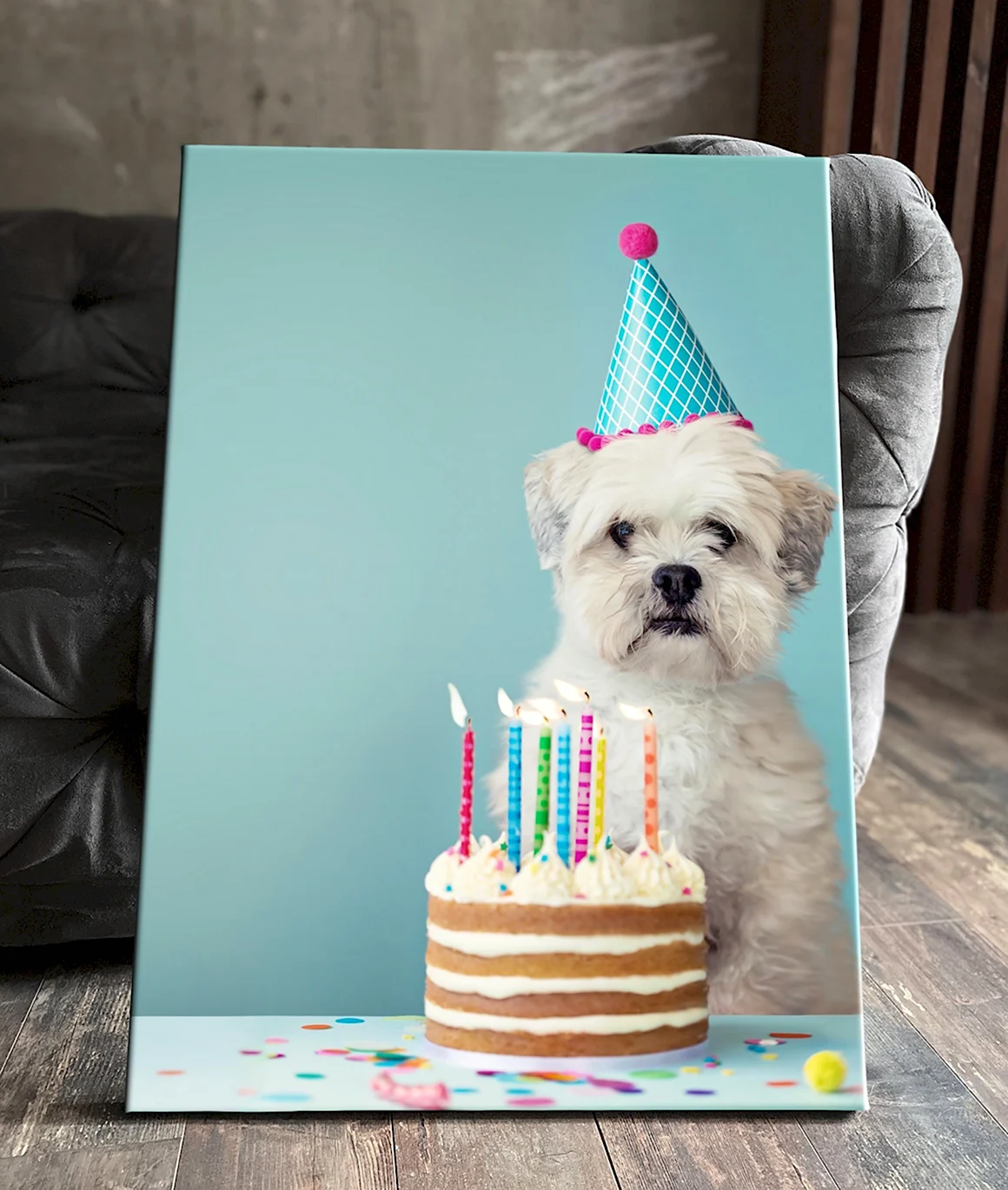 Что можно подарить собаке на день рождения