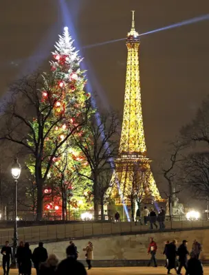 Главная елка в Париже на площади перед собором Нотр дам