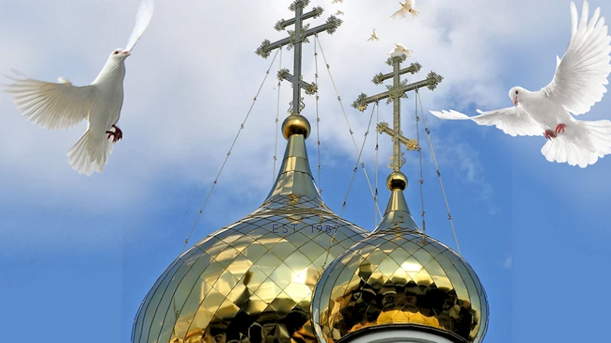 Голубь на кресте Софийского собора в Новгороде
