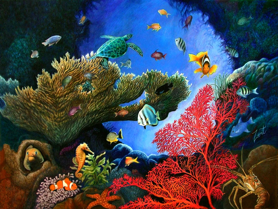 Камиль сен Санс аквариум