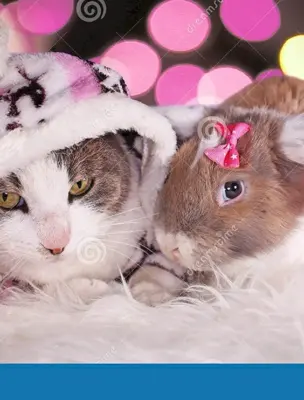 Кот и кролик новогодние