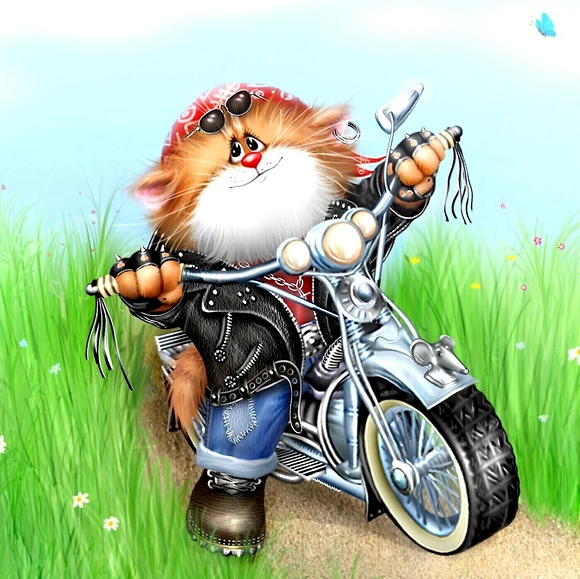 Котик на мотоцикле