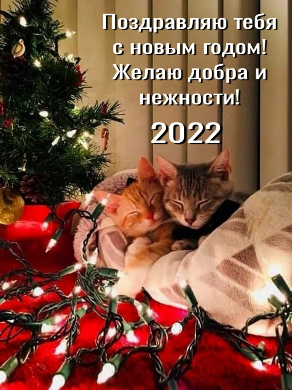 Новогодняя кошка