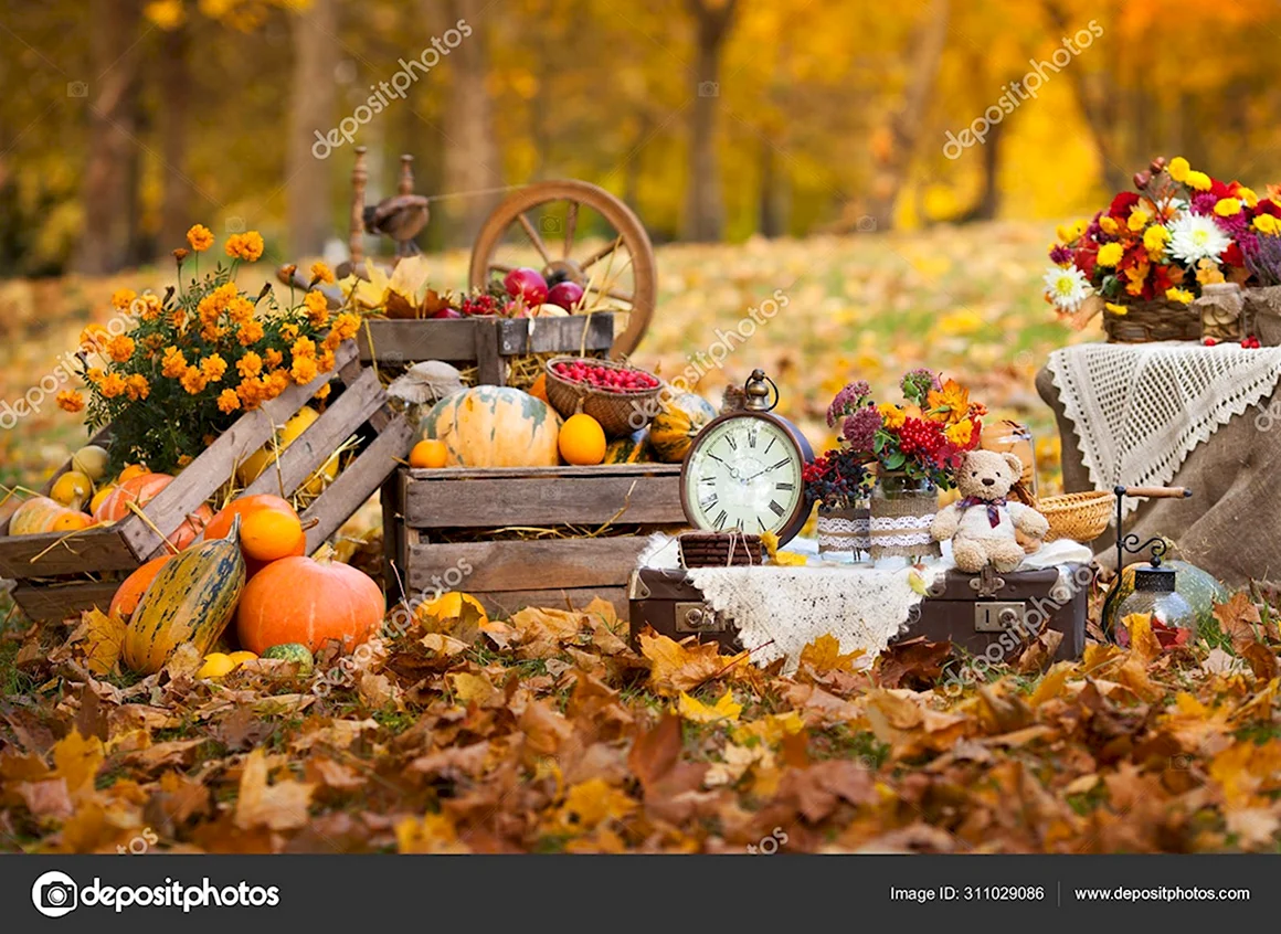 Осенняя фотозона