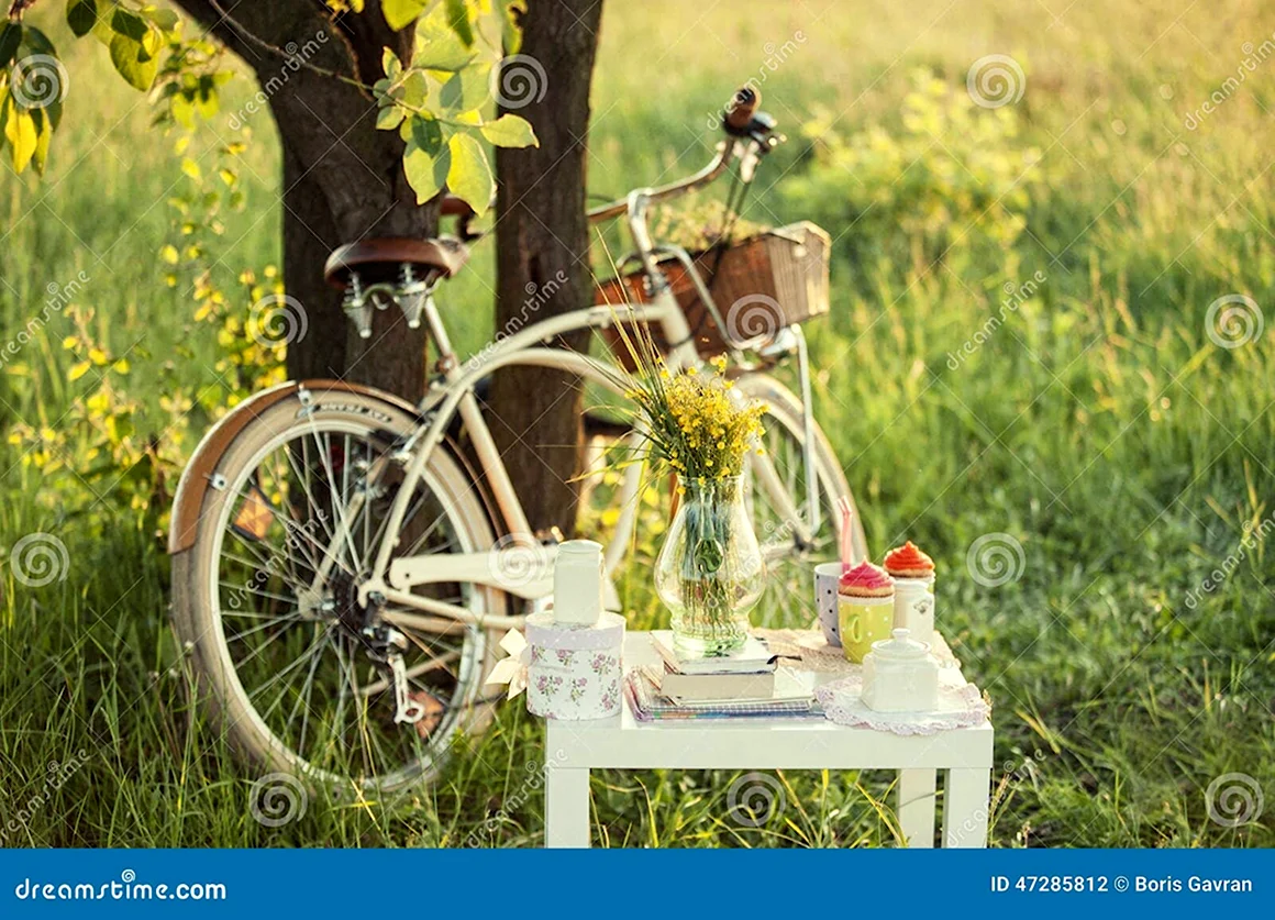 Пикник с корзинкой и велосипедом