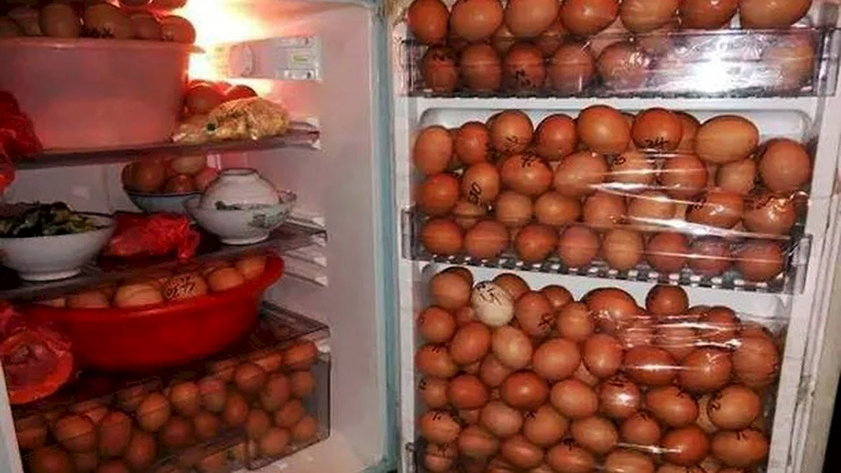 Полный холодильник яиц