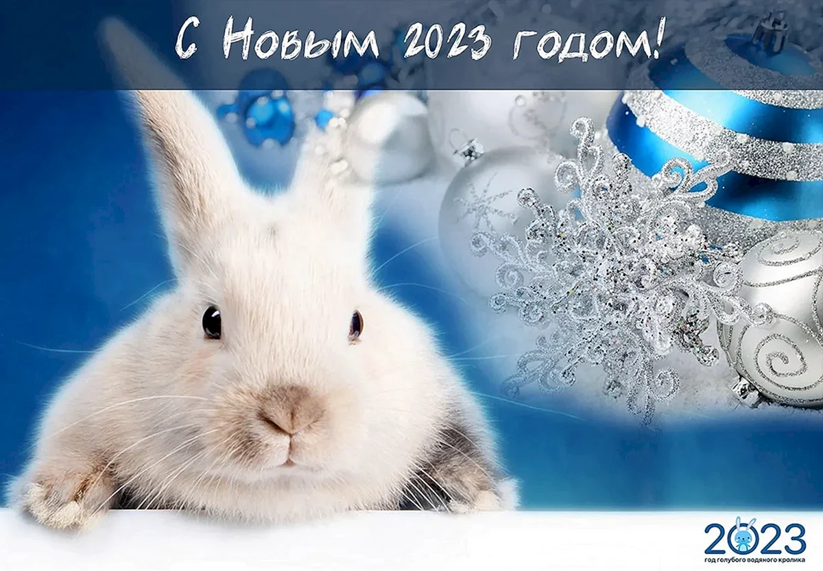 Поздравление с новым годом кролика