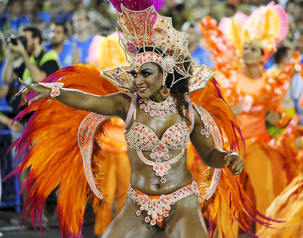 Рио де Жанейро карнавал 2014