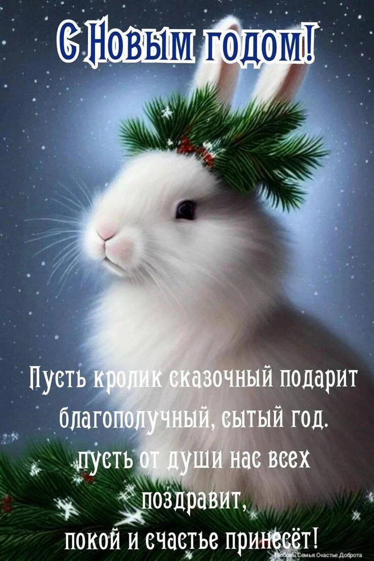С наступающим новым годом кролика