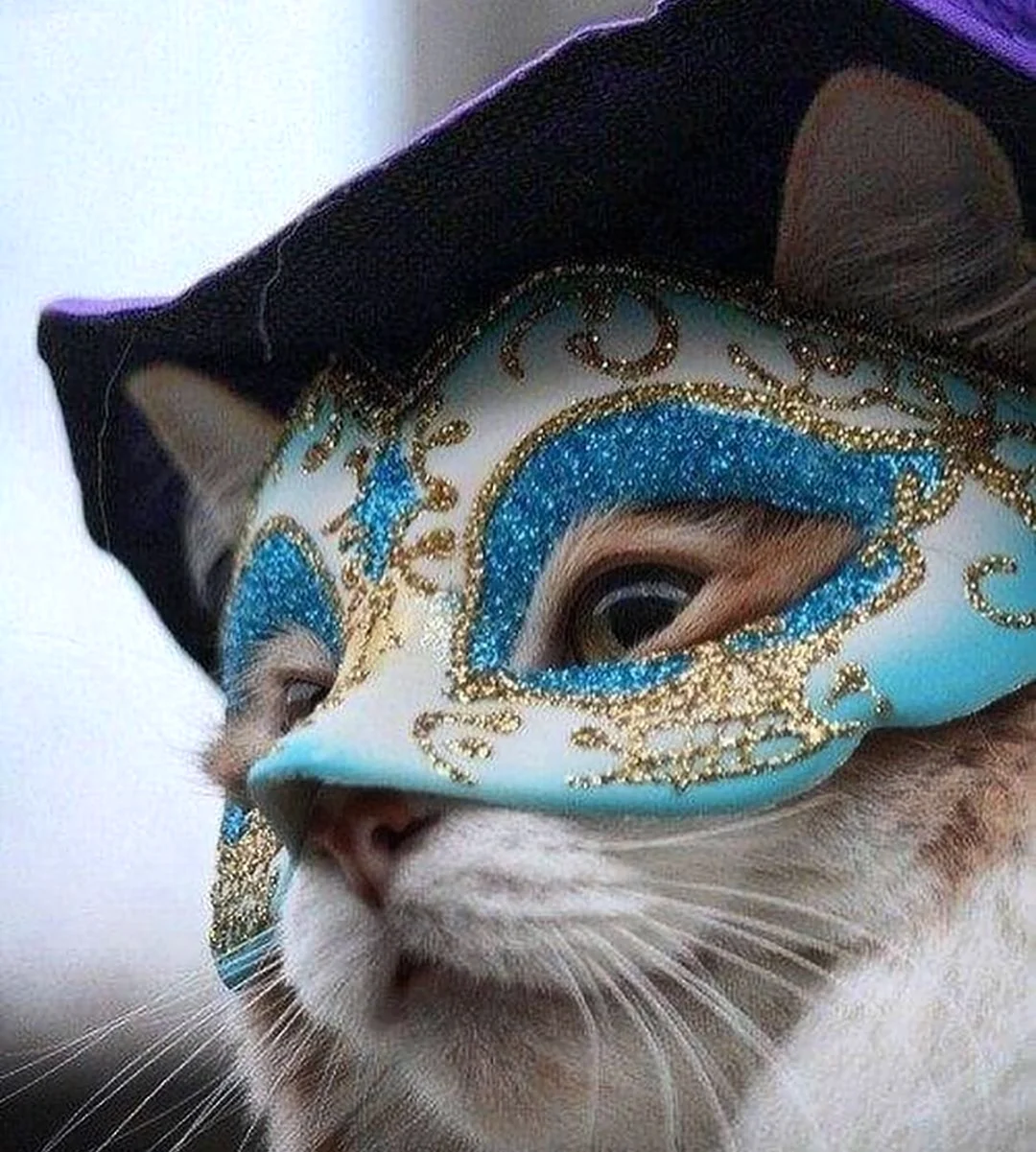 Венецианский карнавал маска Гатто