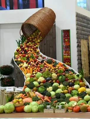 Выставка сельскохозяйственной продукции